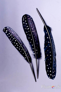 Cygne Soie avec paillettes  - 25-30 cm - noir